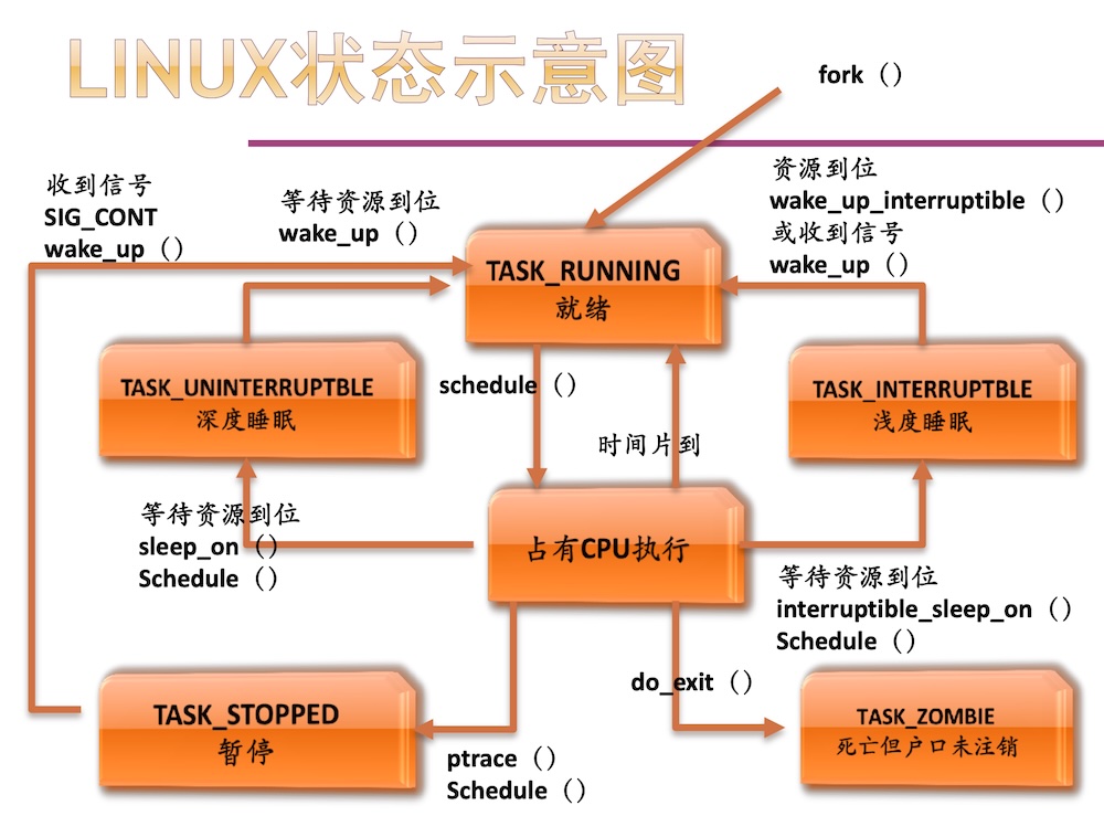 process_linux